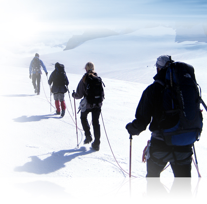 1544686242304505.jpg 8.jpg